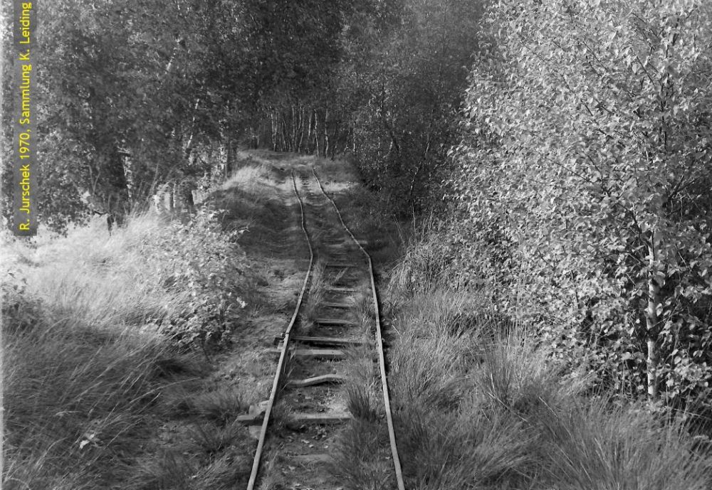 Die Gleistrasse vom Wittmoor ins Torfwerk.