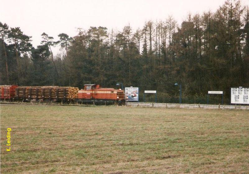 Ein Güterzug fährt durch den Haltepunkt *Meeschensee - 1.