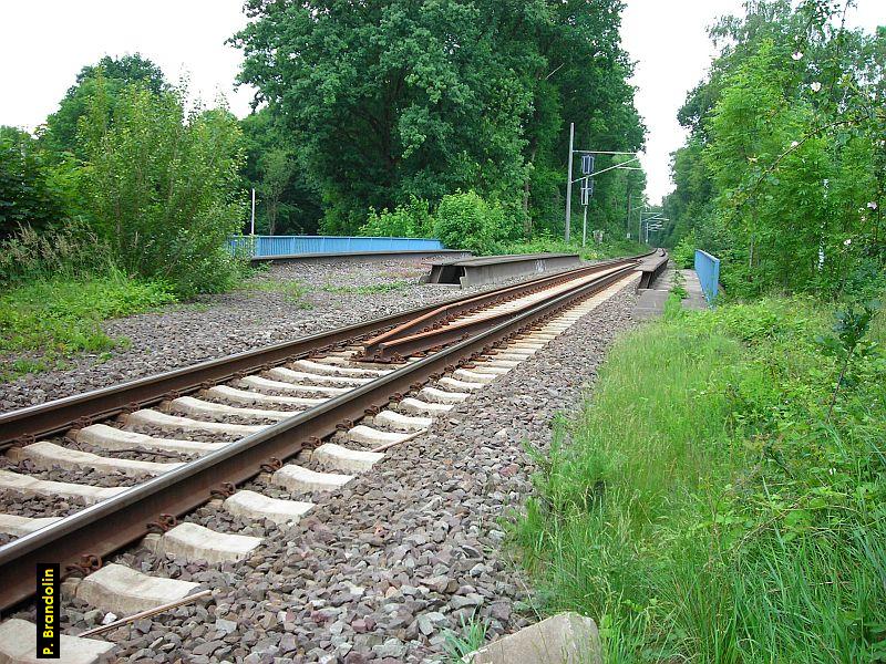 Brcke ber die Kollaustrae.