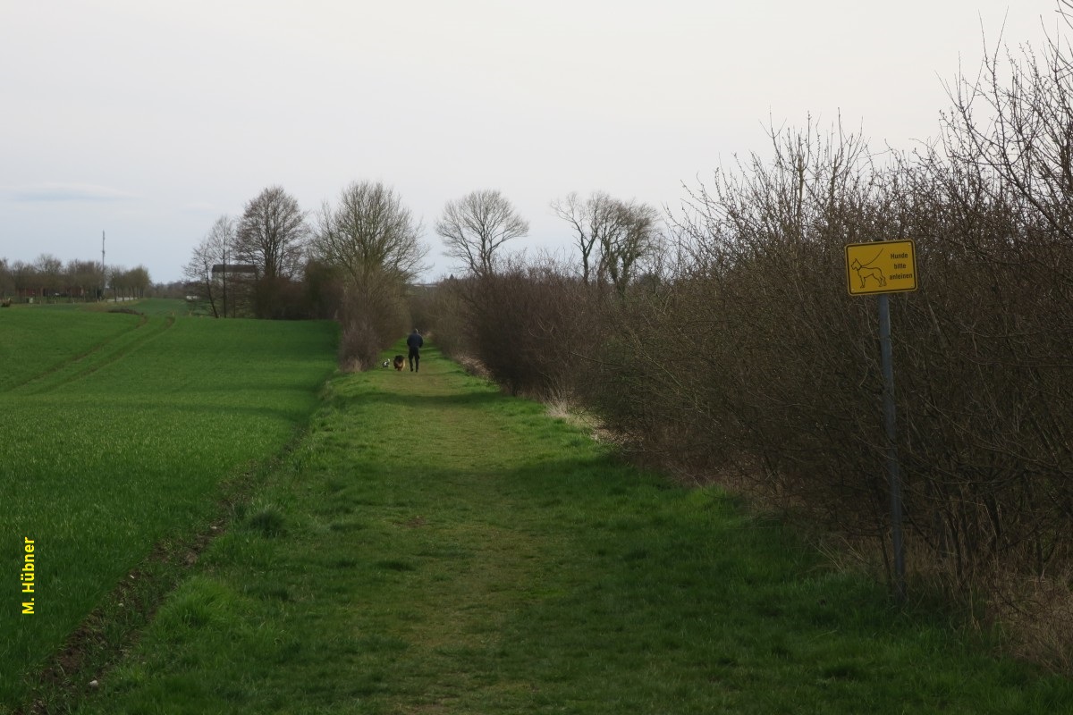 Trampelpfad nach Ahrensbök.