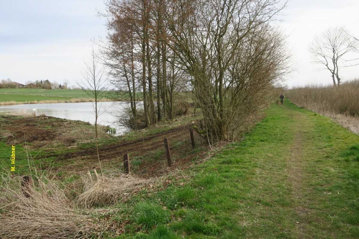 Teich zwischen Bahnstrecke und Flachsröste.