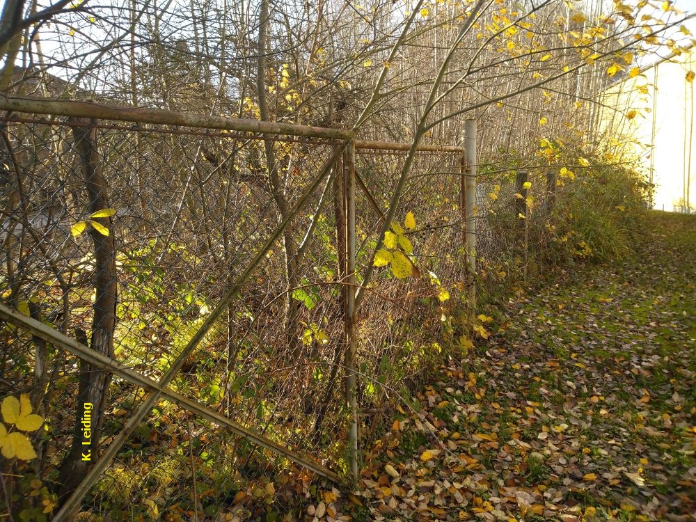 Durch dieses Tor wurden bis in die 1980er Jahre die Güterwagen für die Ziegelwerke geschoben.