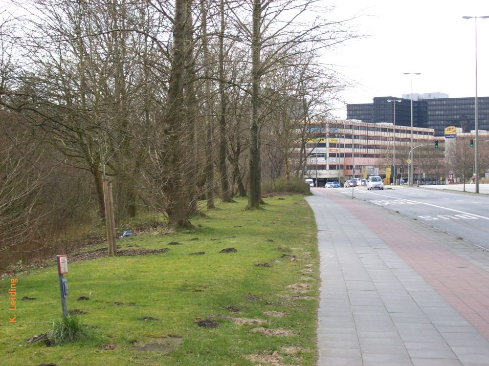 Blick entlang der Hebebrandstraße.