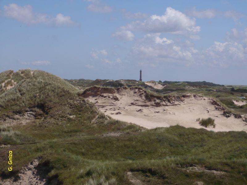 Dnen und Leuchtturm.