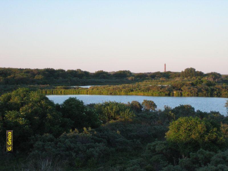 Sdstrandpolder und Leuchtturm.