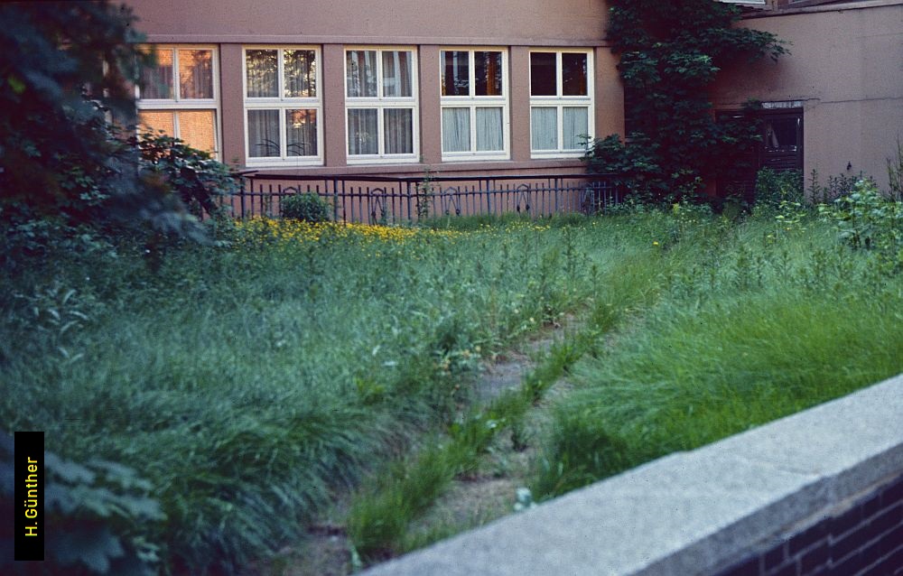 Aufnahme der Rampe zum Tunnel unter dem ehemaligen Neuen Gesundheitsamt.