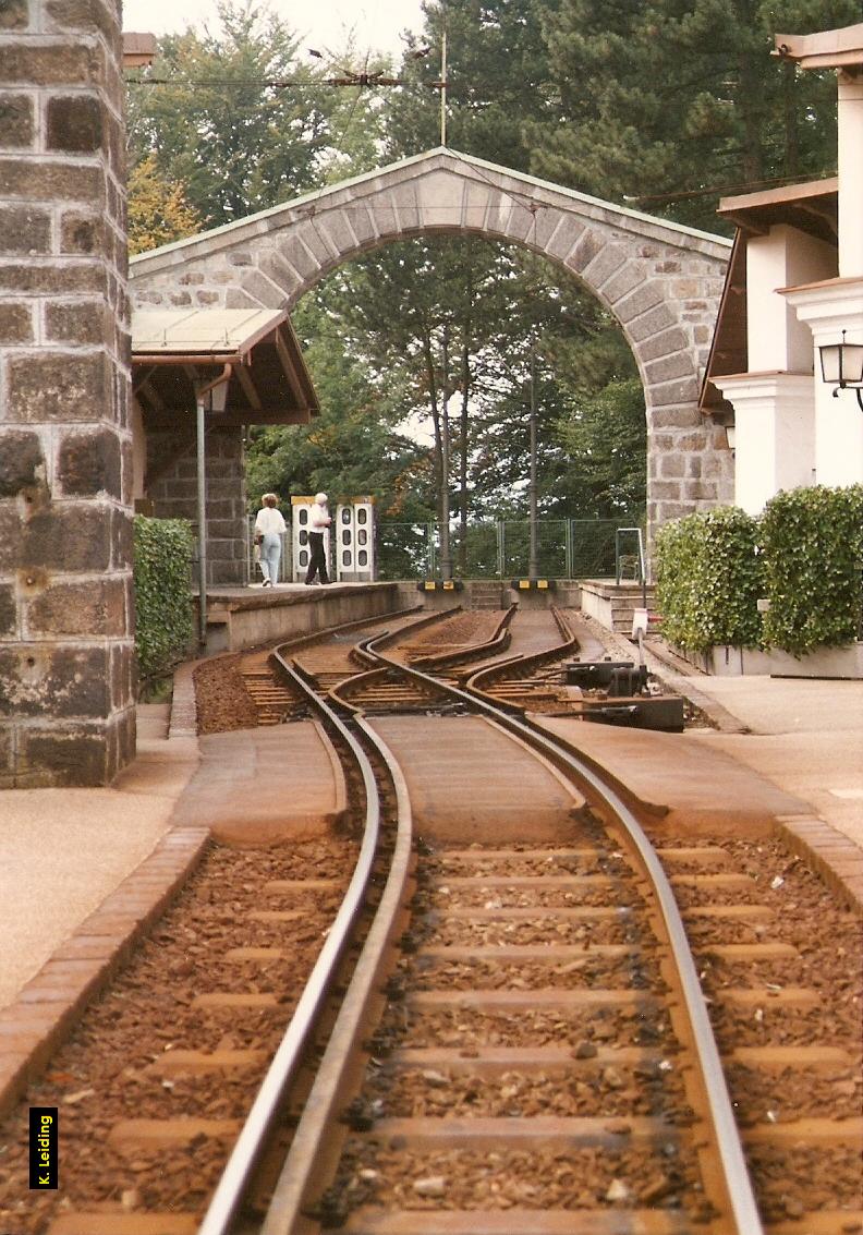 Blick aus dem bergabwrts fahrenden Zug.