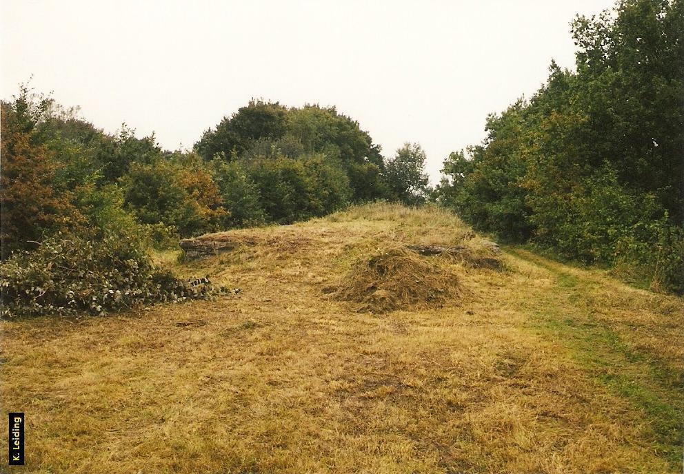 Blick von Sden auf den ehemaligen Bahnsteig.